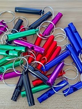 Metal Whistle Keychain
